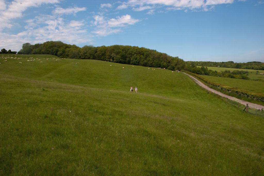 James and Sally walking in a field