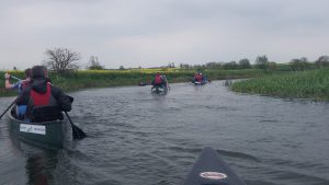 Canoes on the water